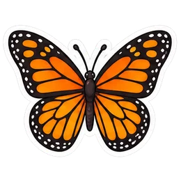 butterfly