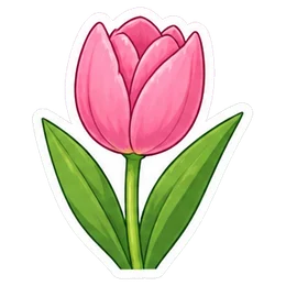 tulip