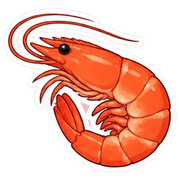 shrimp