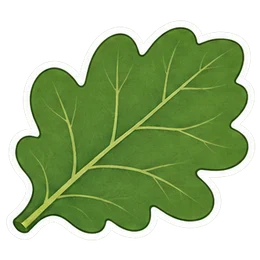 leaf
