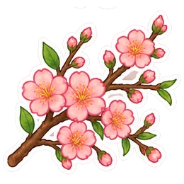blossom