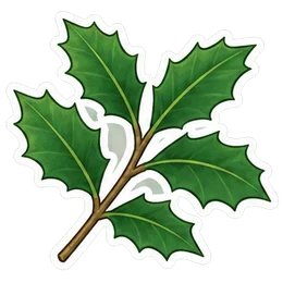 holly