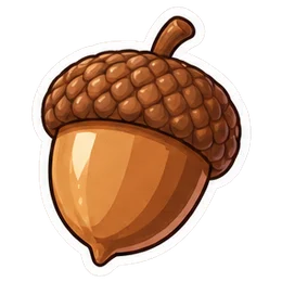 acorn