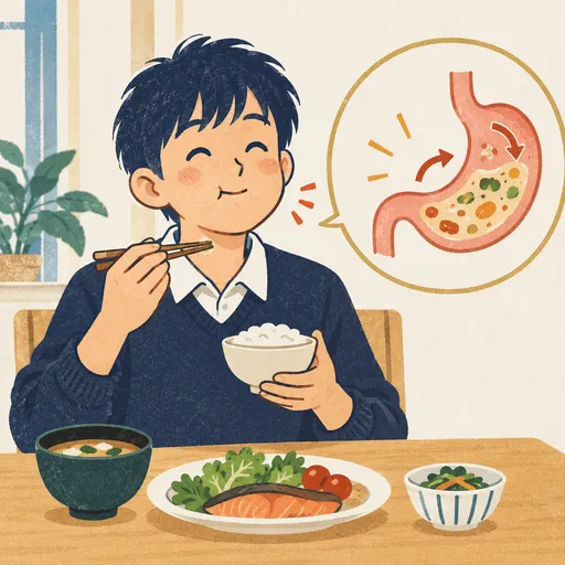 digestion のイメージ